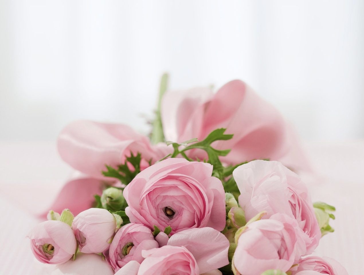 Код долголетия букета – как не погубить розы в первые же сутки