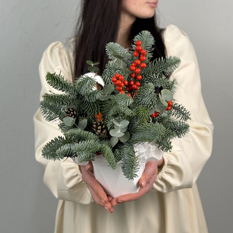 Зимняя композиция в кашпо