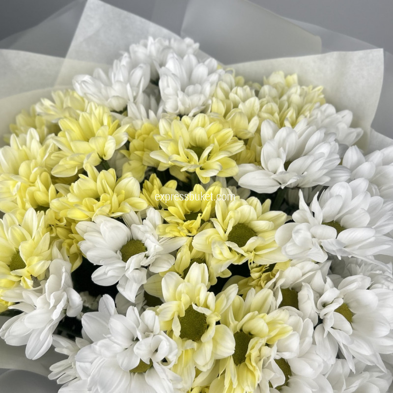 Счастливый момент 