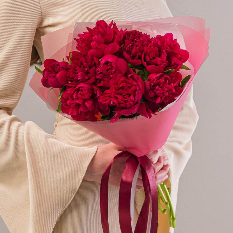 Пионы красные 9шт