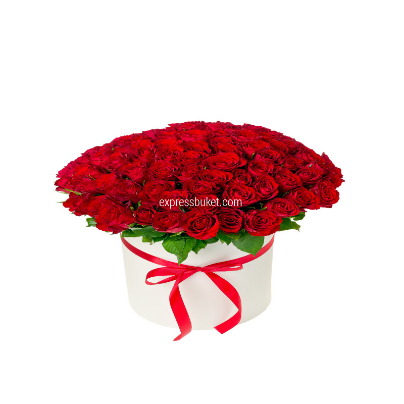 101 роза в шляпной коробке c мягкой игрушкой