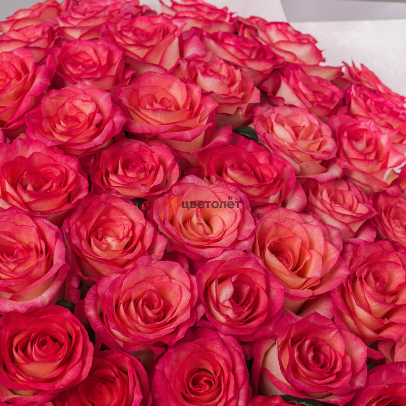 Букет из 51 розы Джумилия