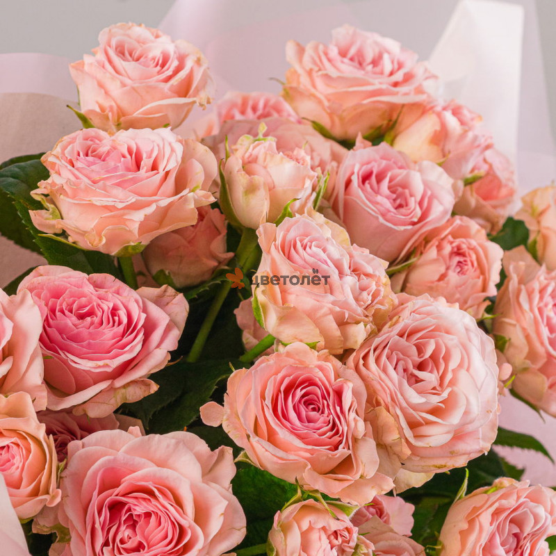 7 кустовых роз