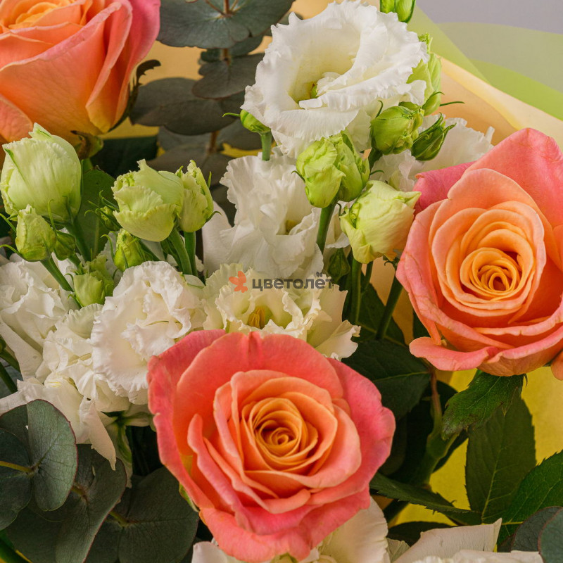 Полет фантазии