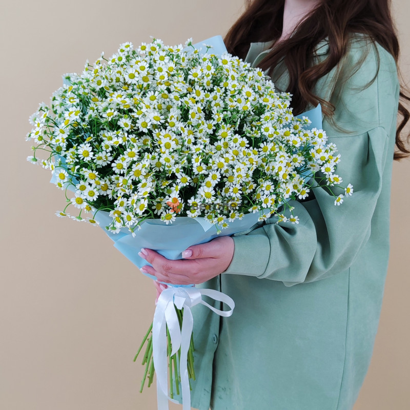Букет полевые Ромашки